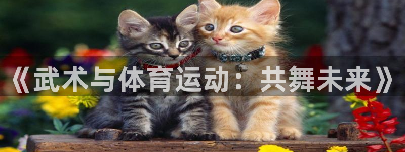 猎豹体育直播：《武术与体育运动：共舞未来》