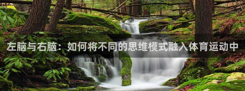 猎豹体育文化：左脑与右脑：如何将不同的思维模式融入体育运动中