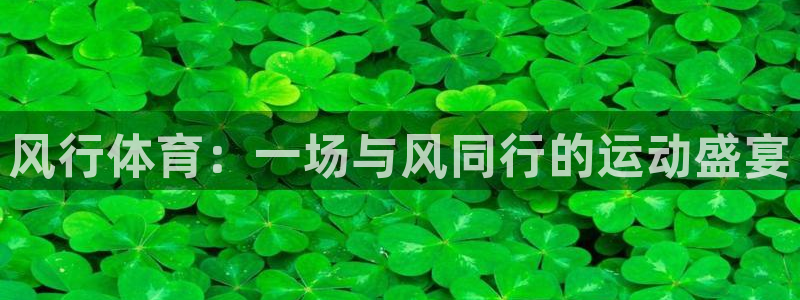 猎豹体育文化传播有限公司