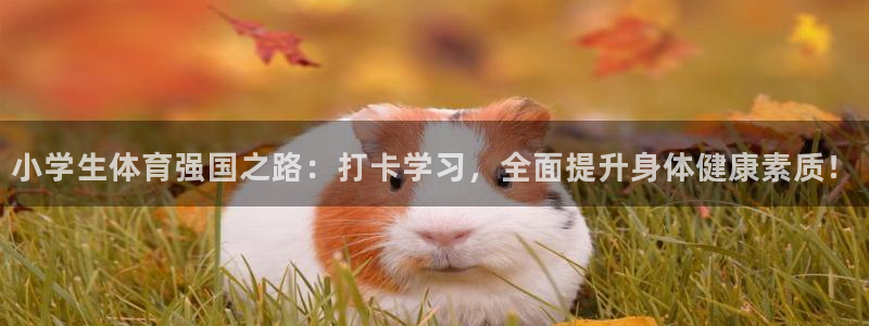 猎豹体育网