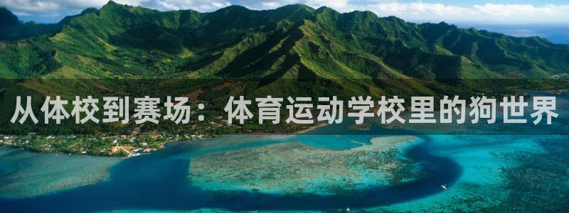 猎豹体育直播在线观看(无插件)