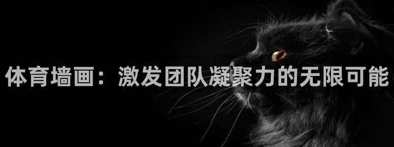 猎豹体育app官方入口