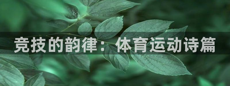 猎豹体育直播