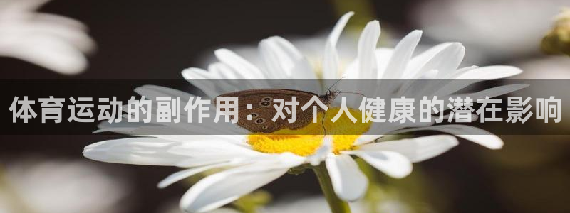 猎豹体育app官方下载