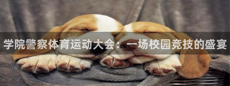 猎豹体育赛事直播