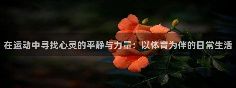 猎豹体育官网