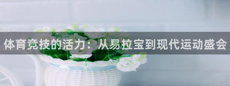 猎豹体育俱乐部：体育竞技的活力：从易拉宝到现代运动盛会